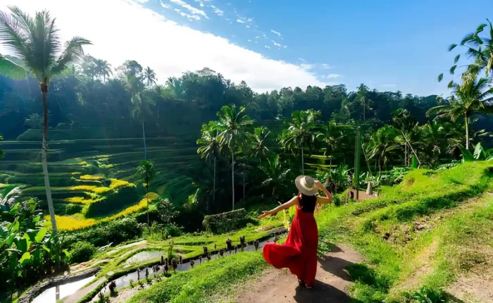 Bali Dry Season Guide 2026