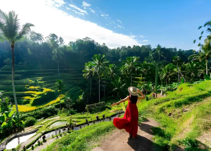 Bali Dry Season Guide 2026