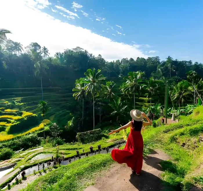 Bali Dry Season Guide 2026