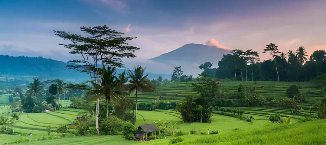 Bali in June July and August