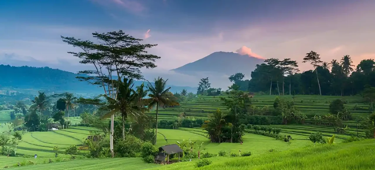 Bali in June July and August