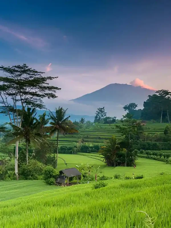 Bali in June July and August