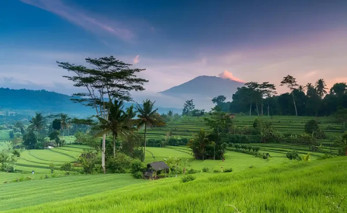 Bali in June July and August
