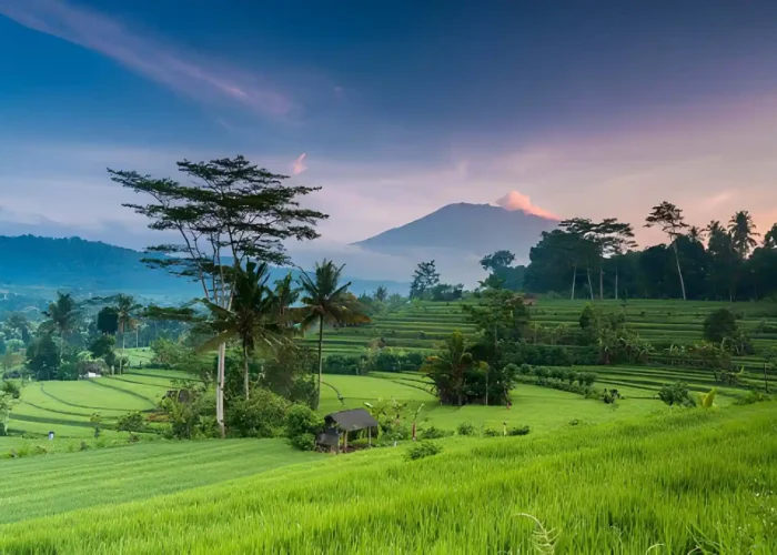 Bali in June July and August