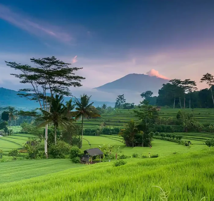 Bali in June July and August