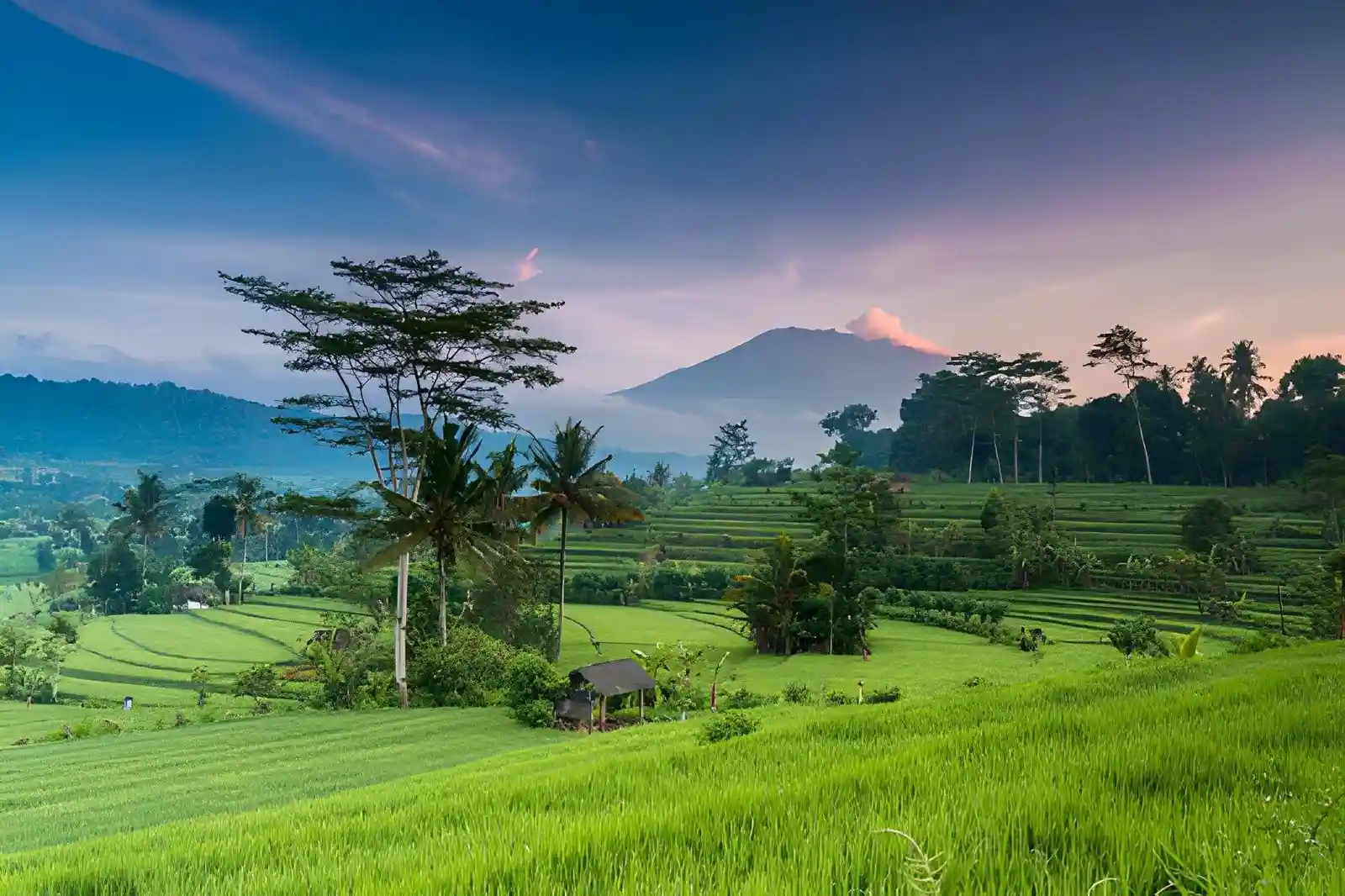Bali in June July and August