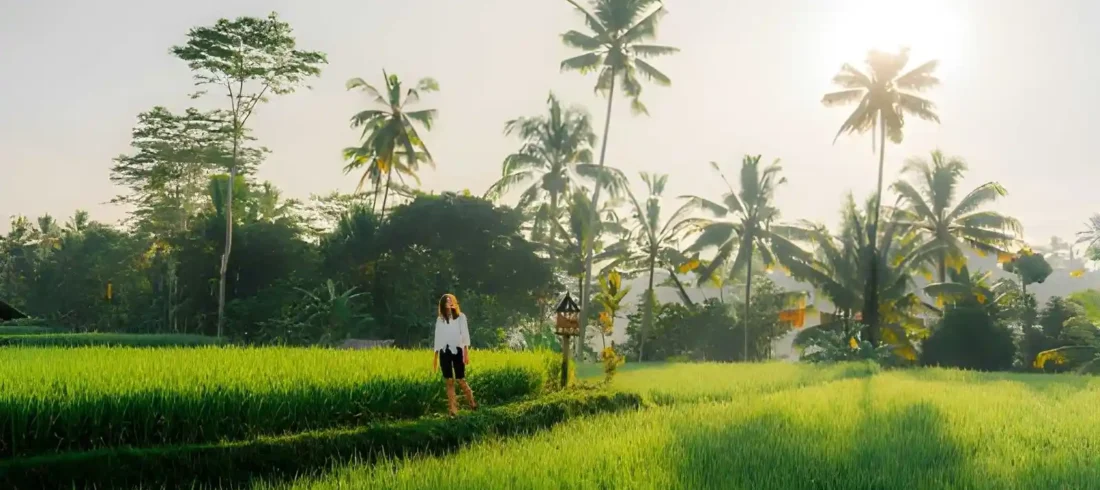 Best Morning Activities in Bali