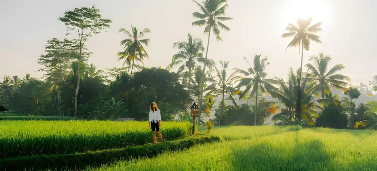 Best Morning Activities in Bali