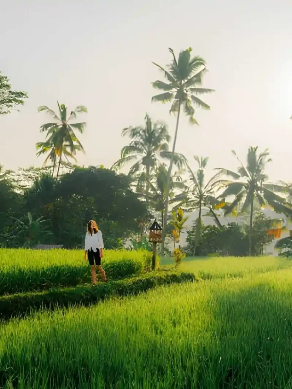 Best Morning Activities in Bali