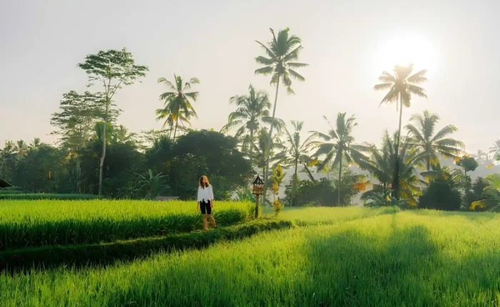 Best Morning Activities in Bali