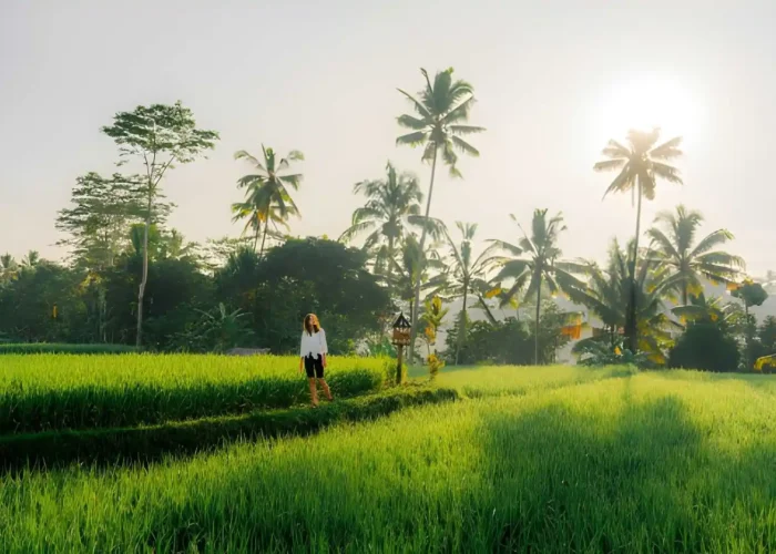 Best Morning Activities in Bali