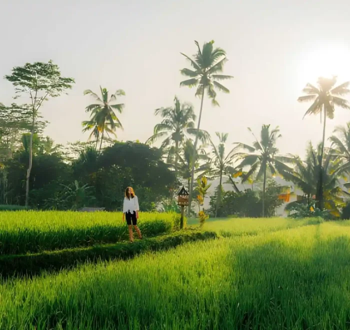 Best Morning Activities in Bali