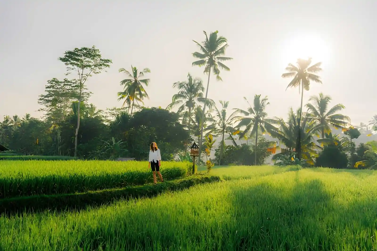 Best Morning Activities in Bali