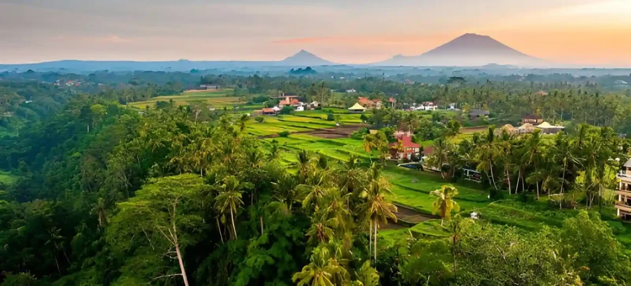 Best Sunrise Spots in Ubud