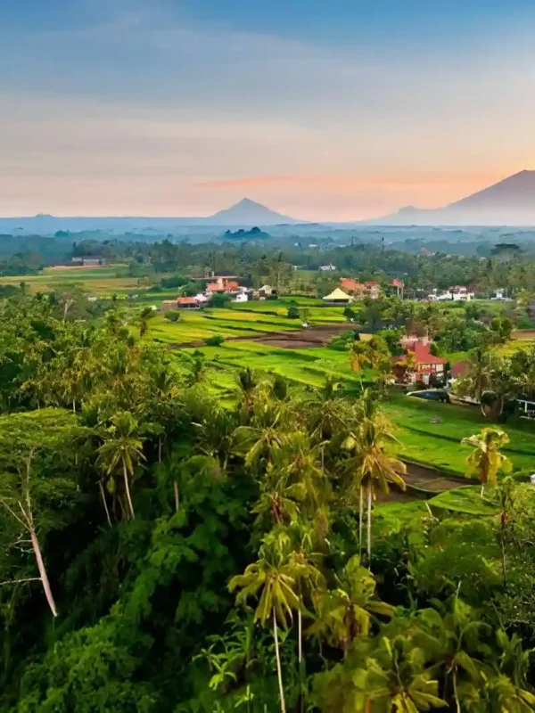 Best Sunrise Spots in Ubud