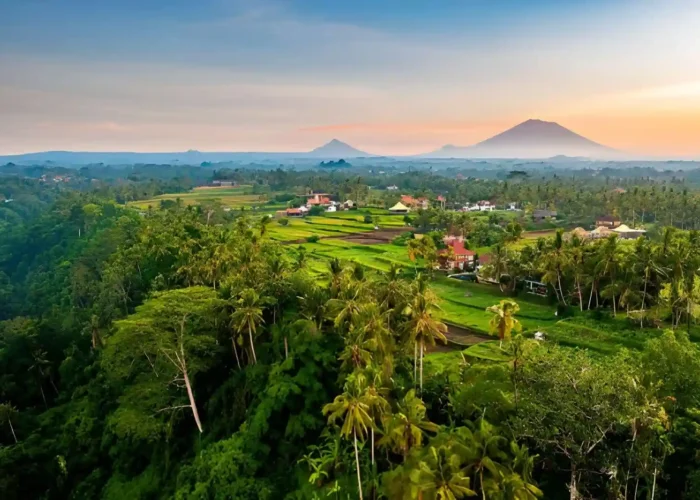 Best Sunrise Spots in Ubud