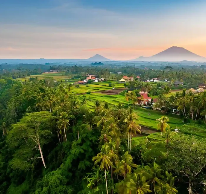 Best Sunrise Spots in Ubud