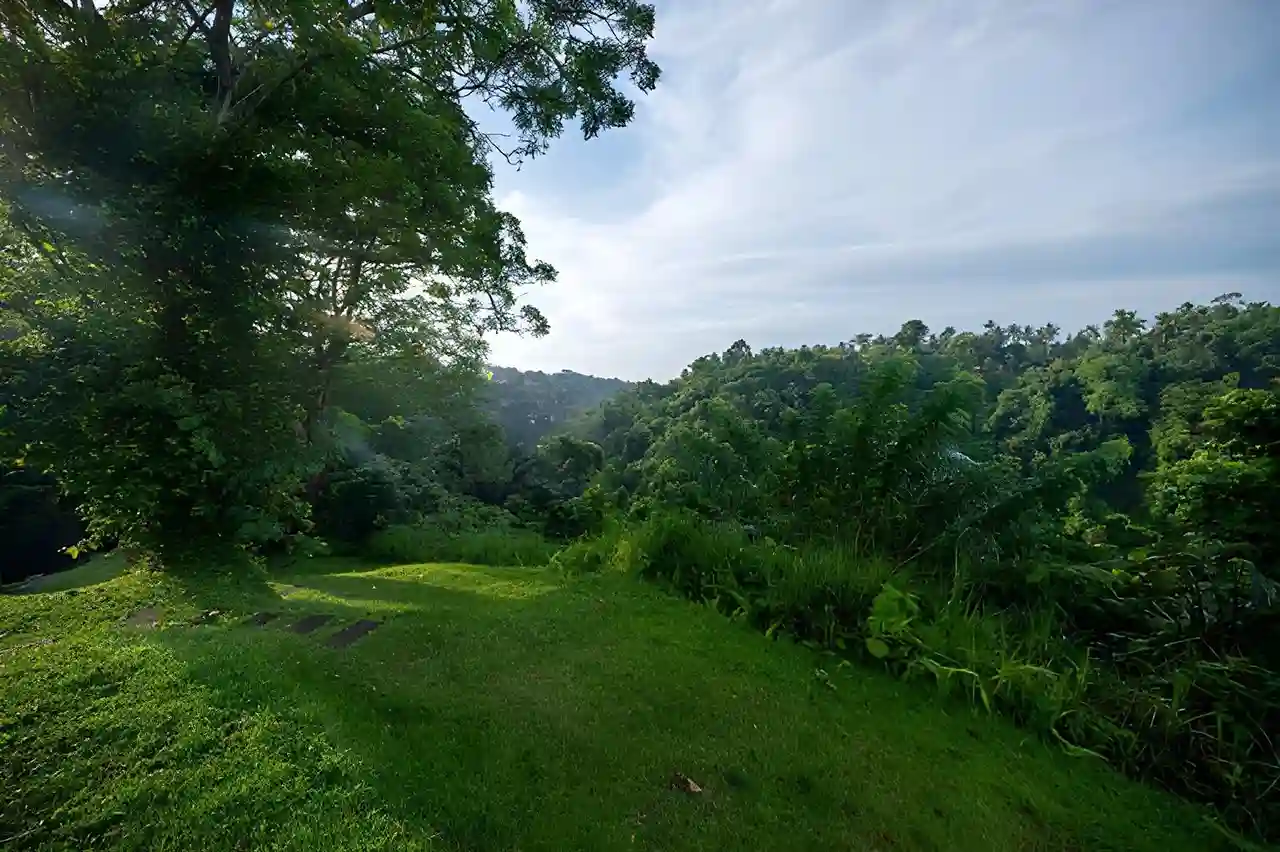 Riverside Jungle Sunrise Spots Around Ubud