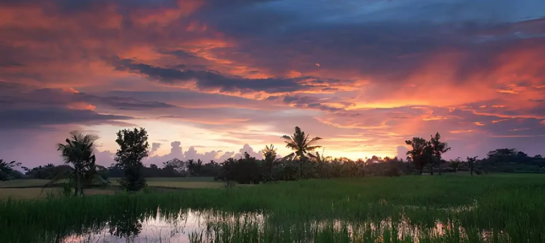 Best Places to Watch Sunset in Ubud