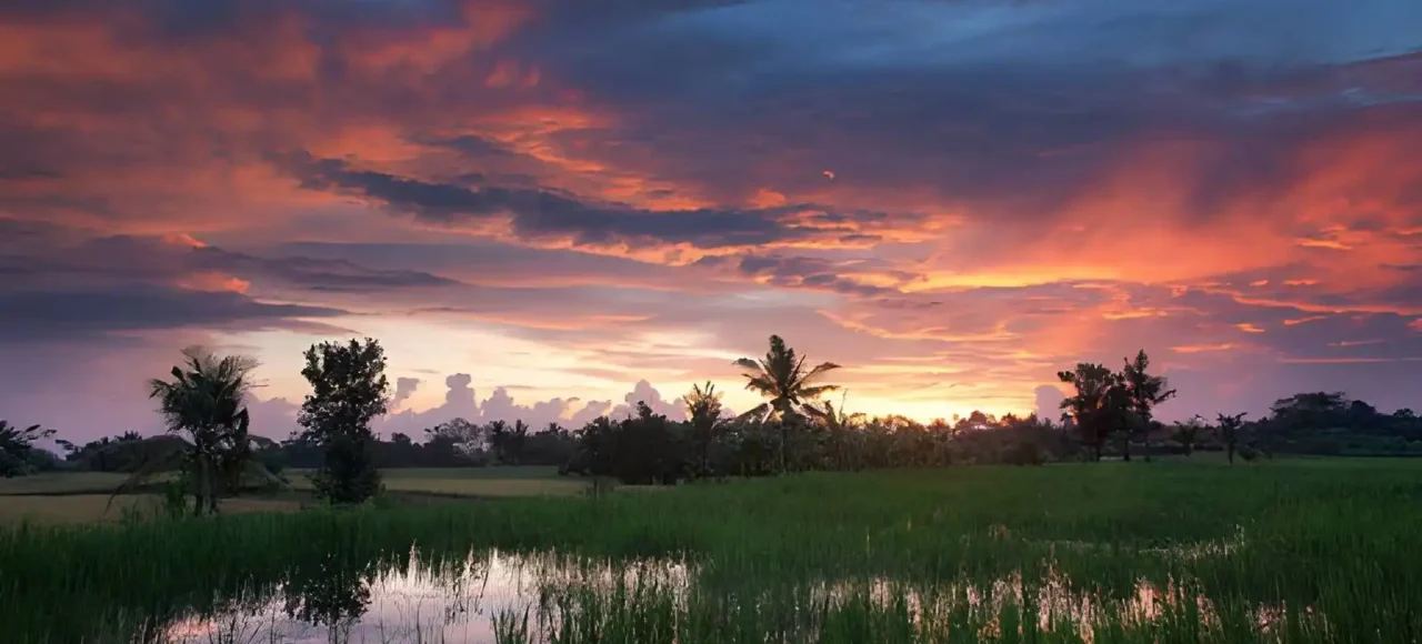 Best Places to Watch Sunset in Ubud