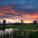 Best Places to Watch Sunset in Ubud