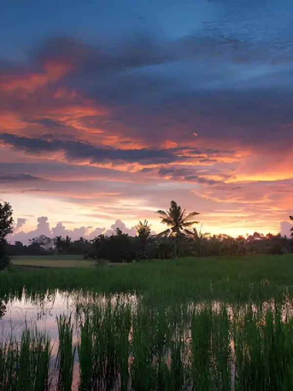 Best Places to Watch Sunset in Ubud