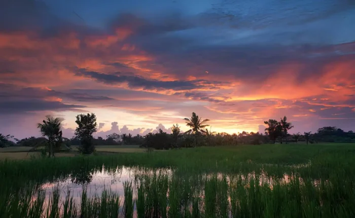 Best Places to Watch Sunset in Ubud