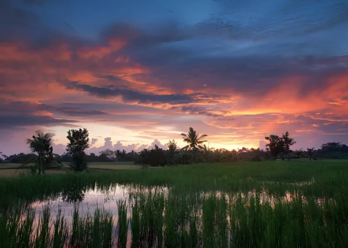 Best Places to Watch Sunset in Ubud
