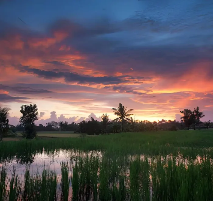 Best Places to Watch Sunset in Ubud