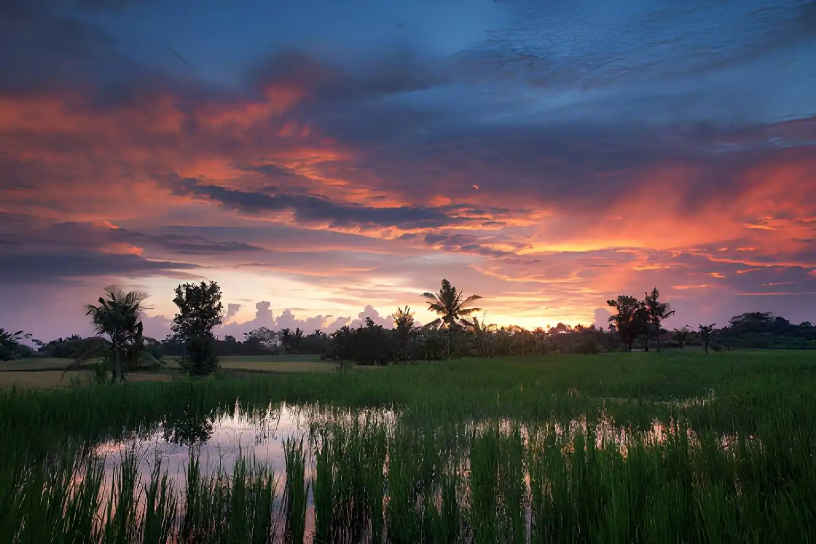 Best Places to Watch Sunset in Ubud