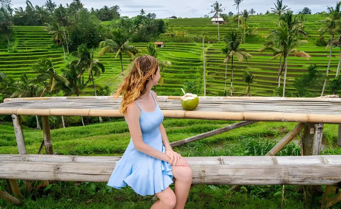 Best Things to Do in Bali in August