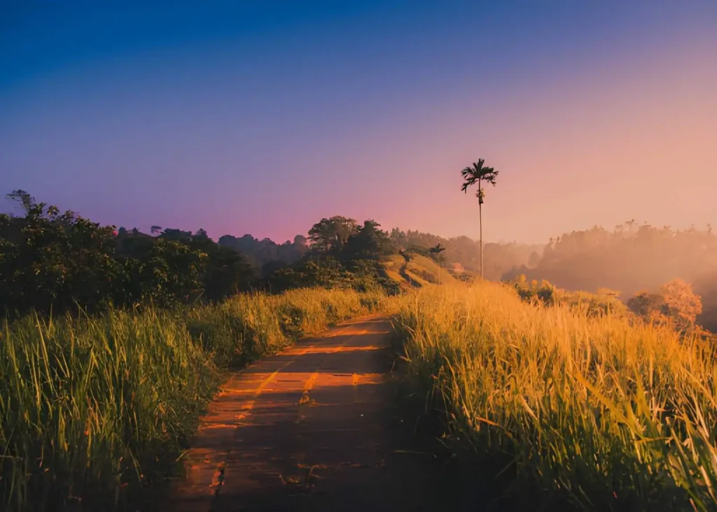 Campuhan Ridge Walk Sunset