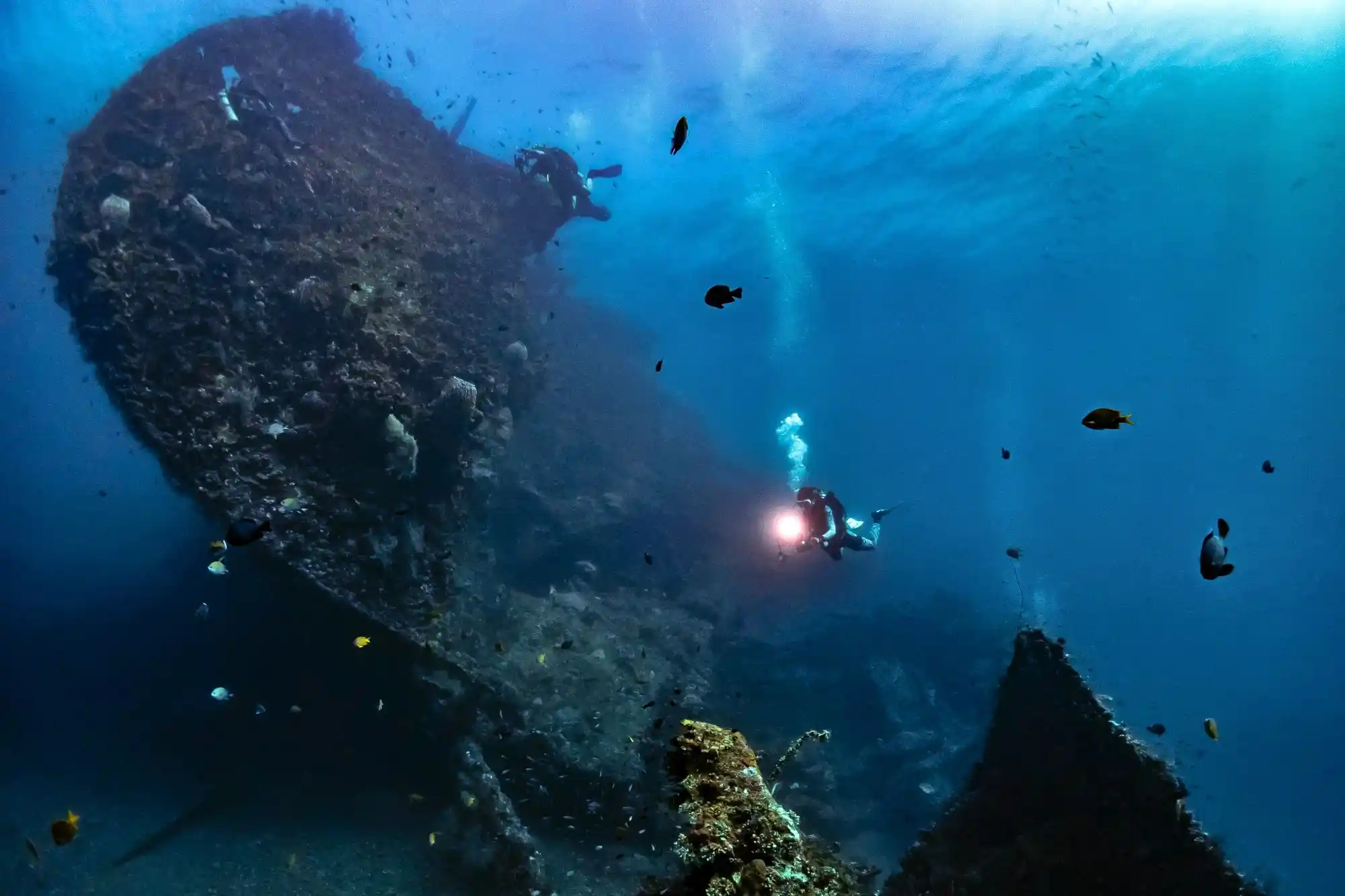 Dive the USAT Liberty Shipwreck in Amed