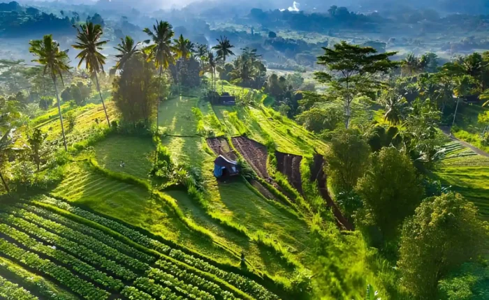 Hidden Places in East Bali