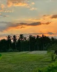 Sari Organik Walk (Best Quiet Sunset Walk)_11zon