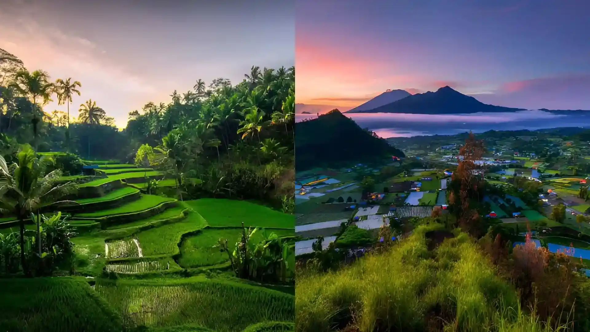 Bali Ubud Kintamani Tour Explore Ubud and Kintamani Volcano in One Trip
