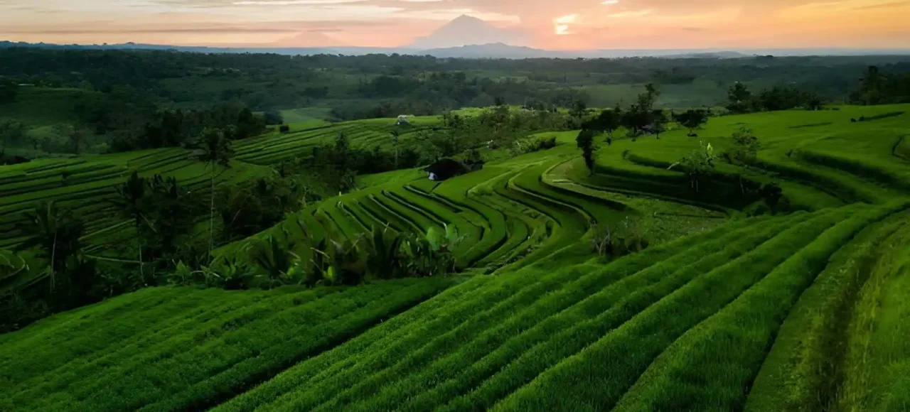 Bali in October Weather, Things to Do & Travel Guide