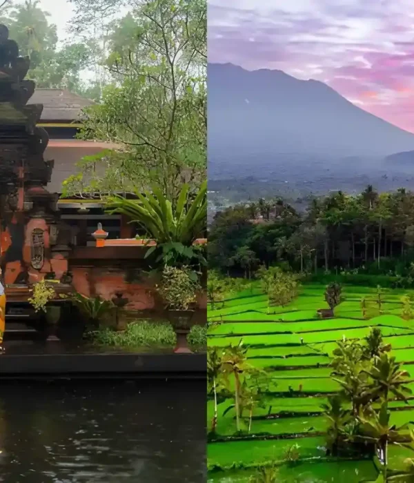 Sidemen vs Ubud Bali's Best Inland Destinations Compared