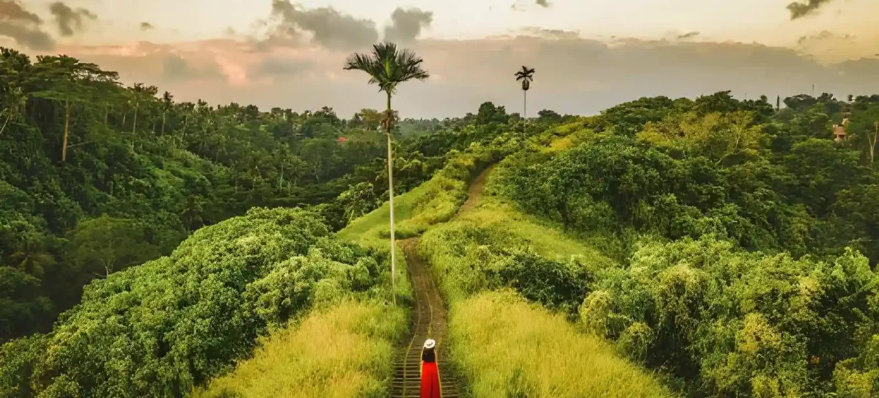 Campuhan Ridge Walk Bali Route, Entrance Fee & Tips