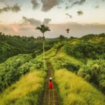 Campuhan Ridge Walk Bali Route, Entrance Fee & Tips Campuhan Ridge Walk Bali Route, Entrance Fee & Tips