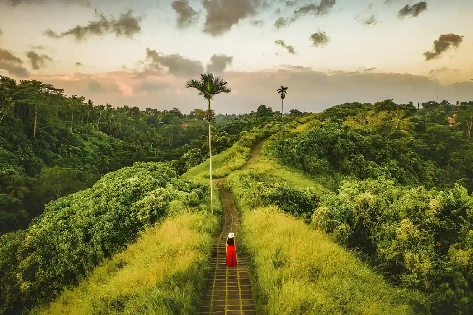 Campuhan Ridge Walk Bali Route, Entrance Fee & Tips