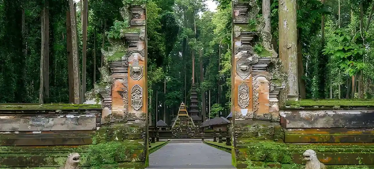 Sangeh Monkey Forest Bali