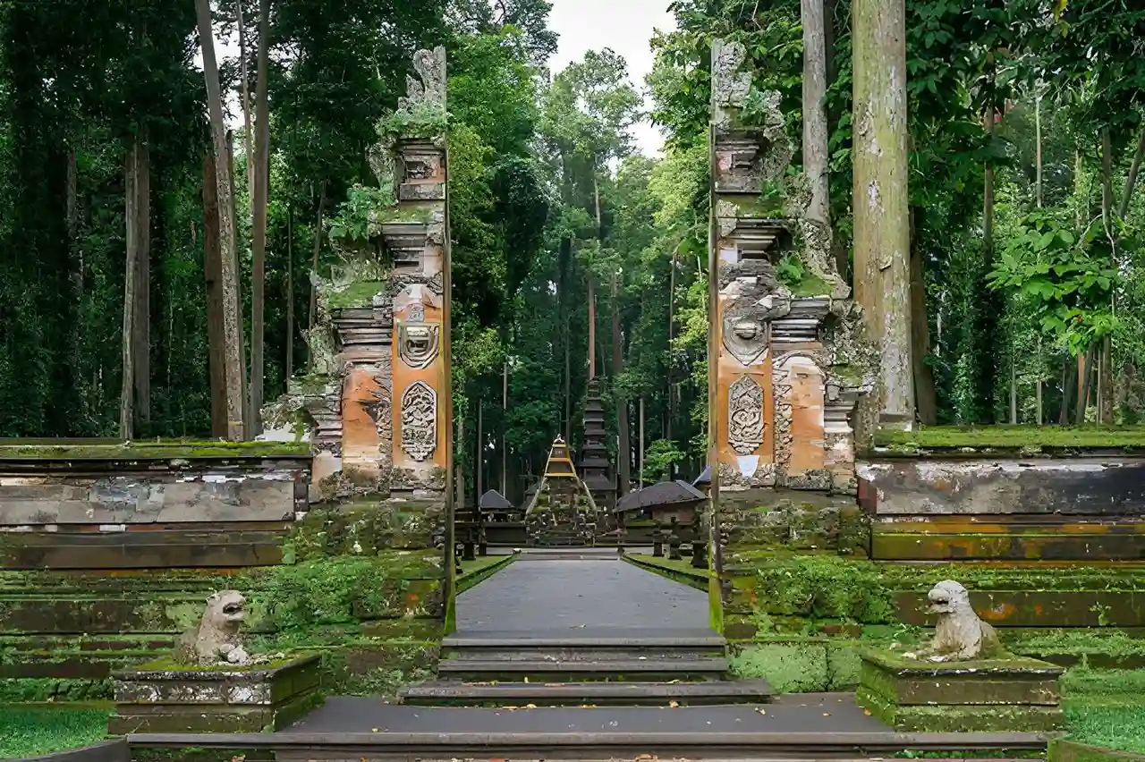 Sangeh Monkey Forest Bali