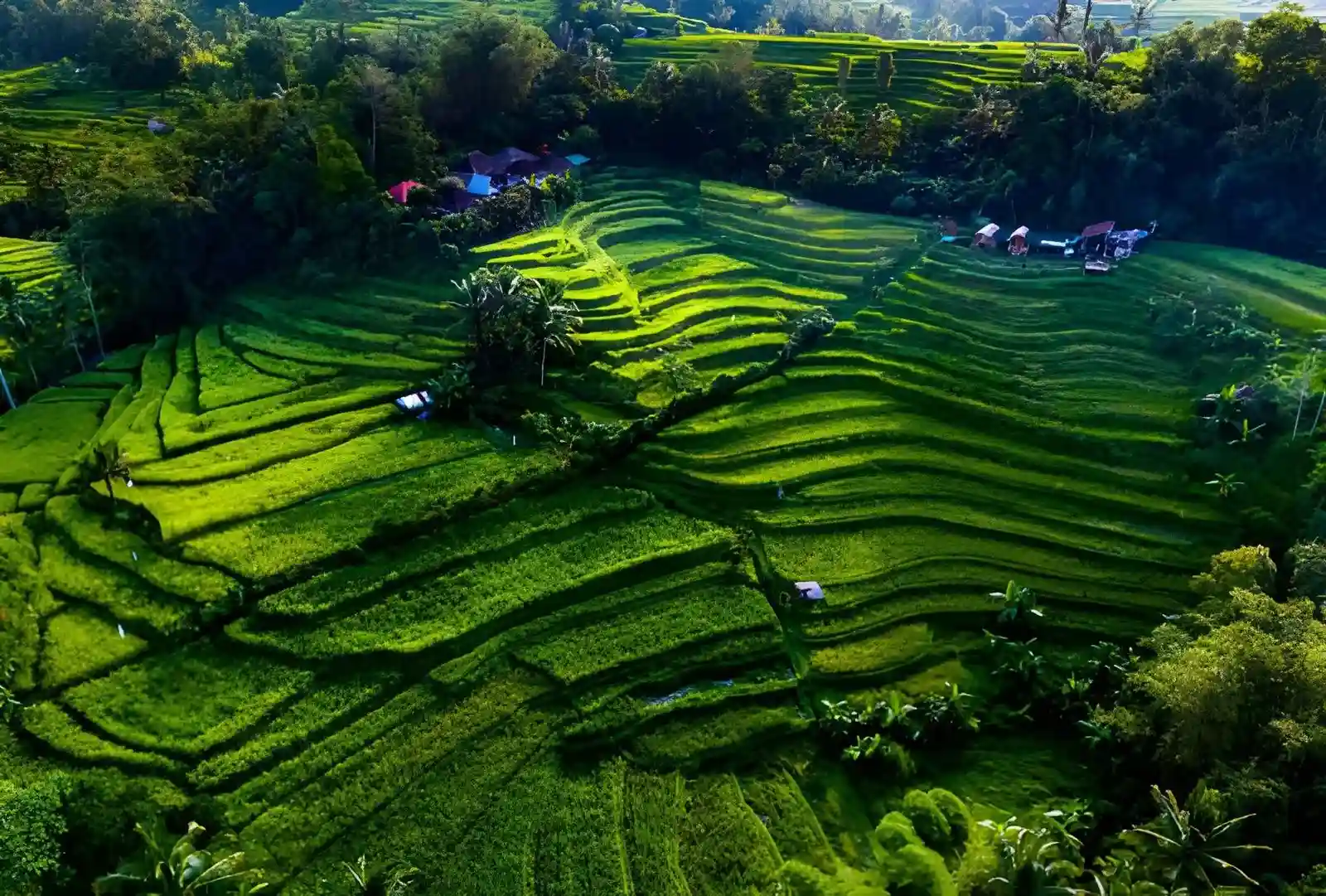 Ultimate Guide To Jatiluwih Rice Terraces Bali’s UNESCO Heritage Landscape
